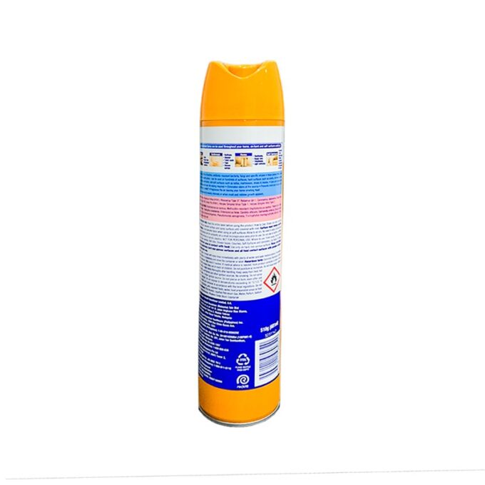 Lysol Disinfectant Spray Citrus Meadow 510 grams | HOSPECO