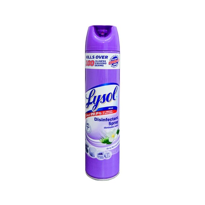 Lysol Disinfectant Spray Early Morning Breeze 510 grams | HOSPECO