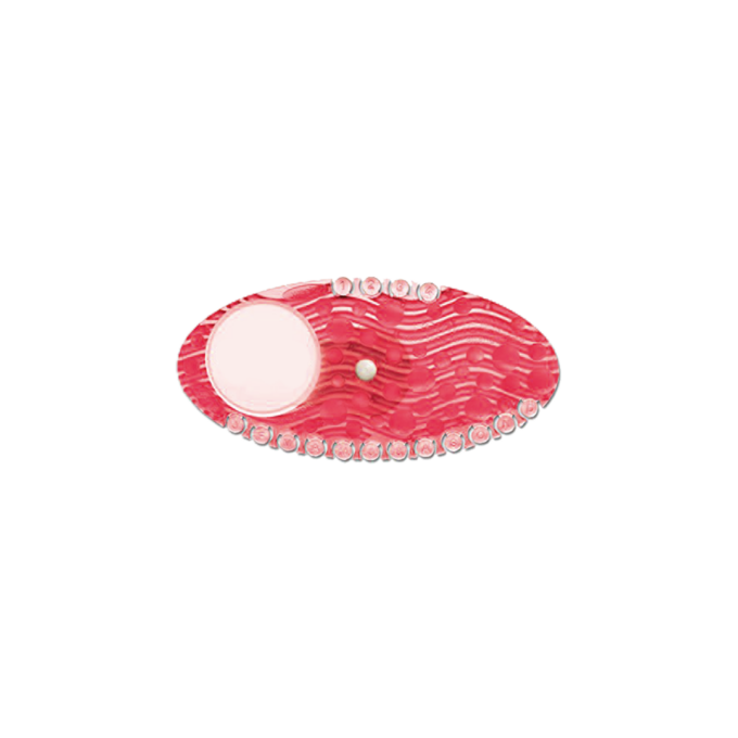 Cube Scent – Charm (Red) | Urinal, Toilet, Refrigerator Freshener | Deodorizer & Bad Odor Cleaner | HOSPECO