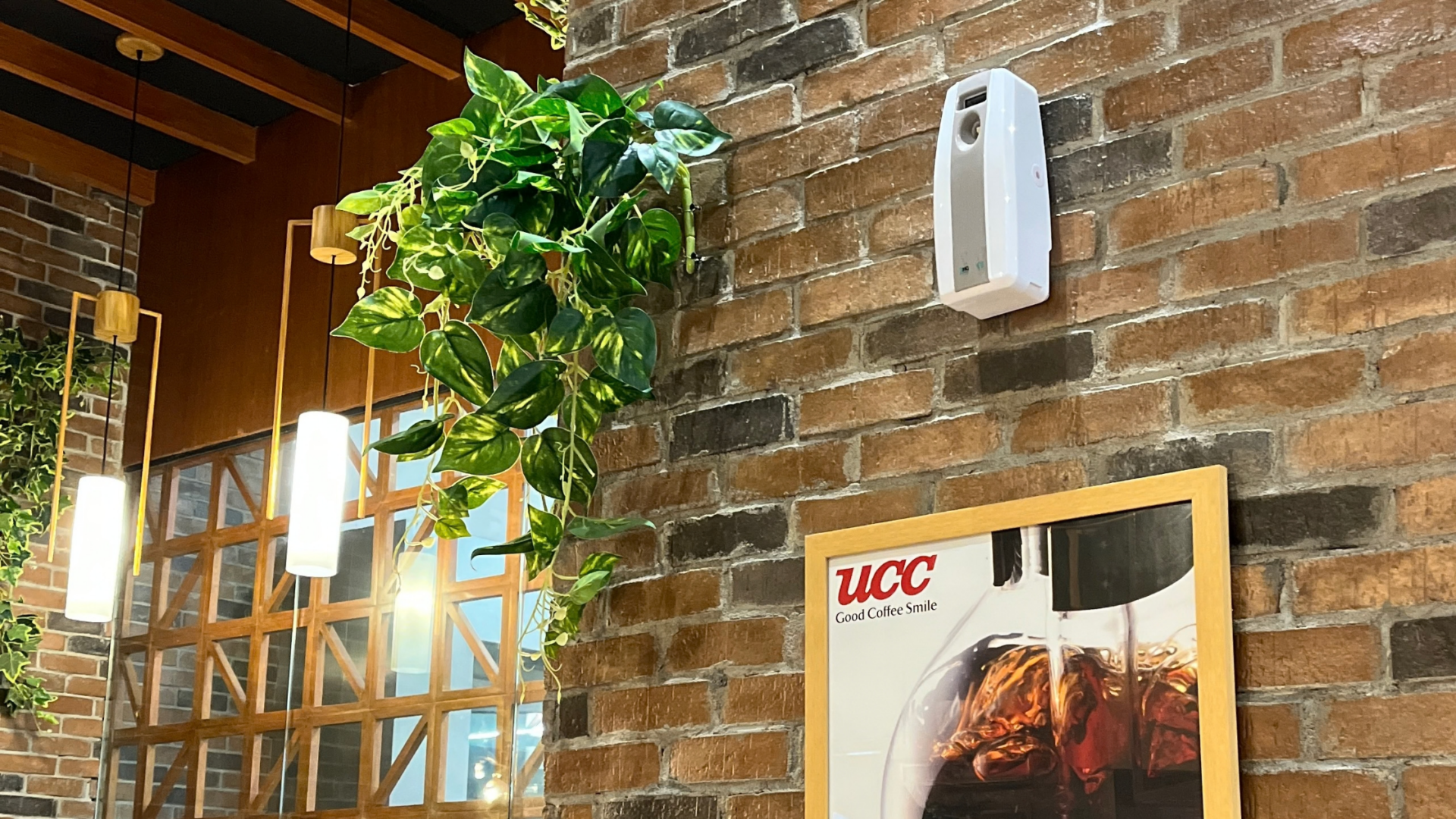restaurants-and-cafes-1